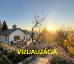 vizualizácia 1